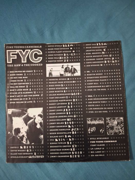 FINE YOUNG CANNIBAL - “The Raw & The Cooked