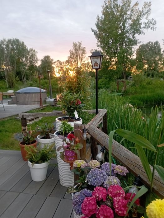 Domki nad Rozlewiskiem w Rzeszowie | CAŁOROCZNE DOMKI, SAUNA, BALIA