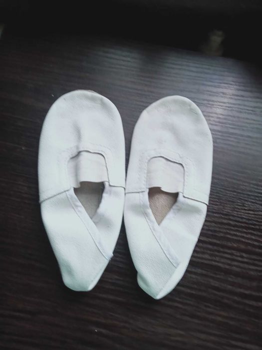 Колготки капронові та чешки