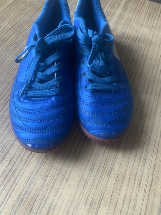 Футзалки.    (Сороконіжки)