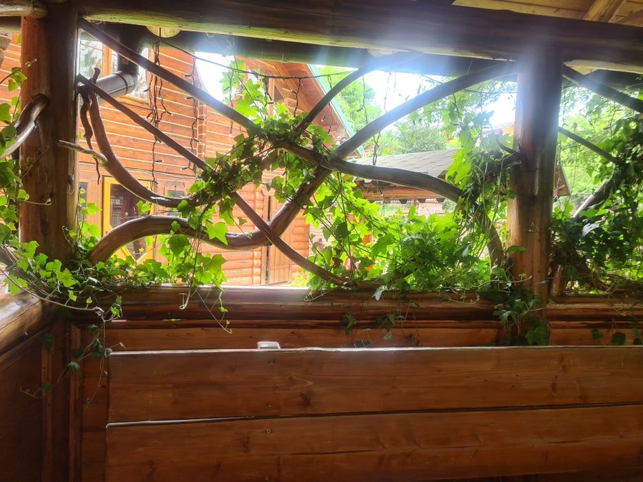 Котедж на  8- 10 місць  Скита