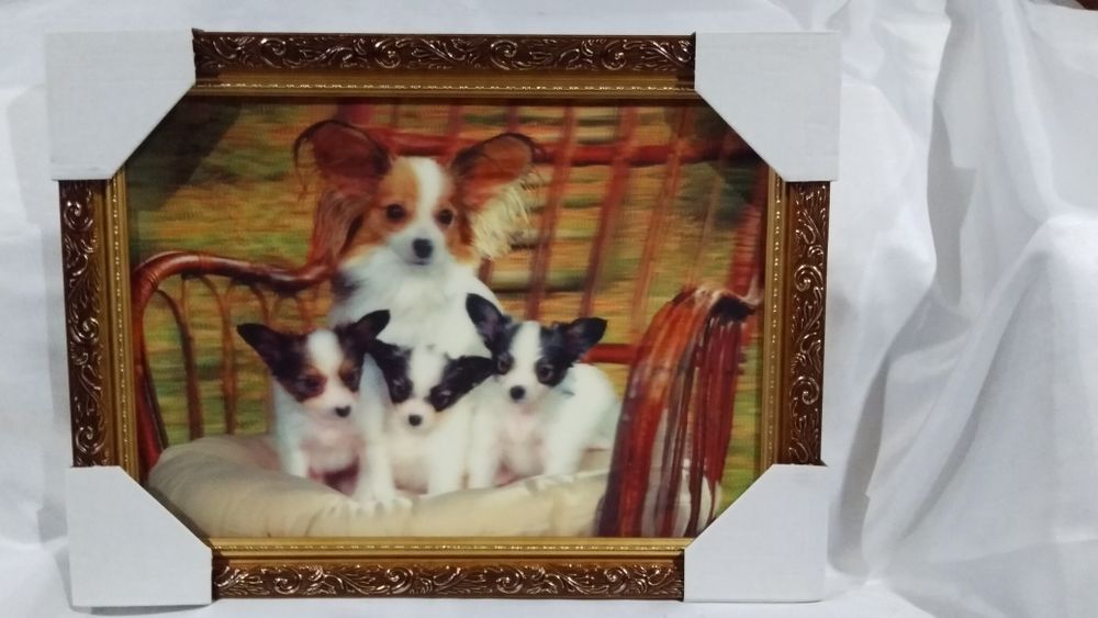 Стерео картина 25 х 35 см.