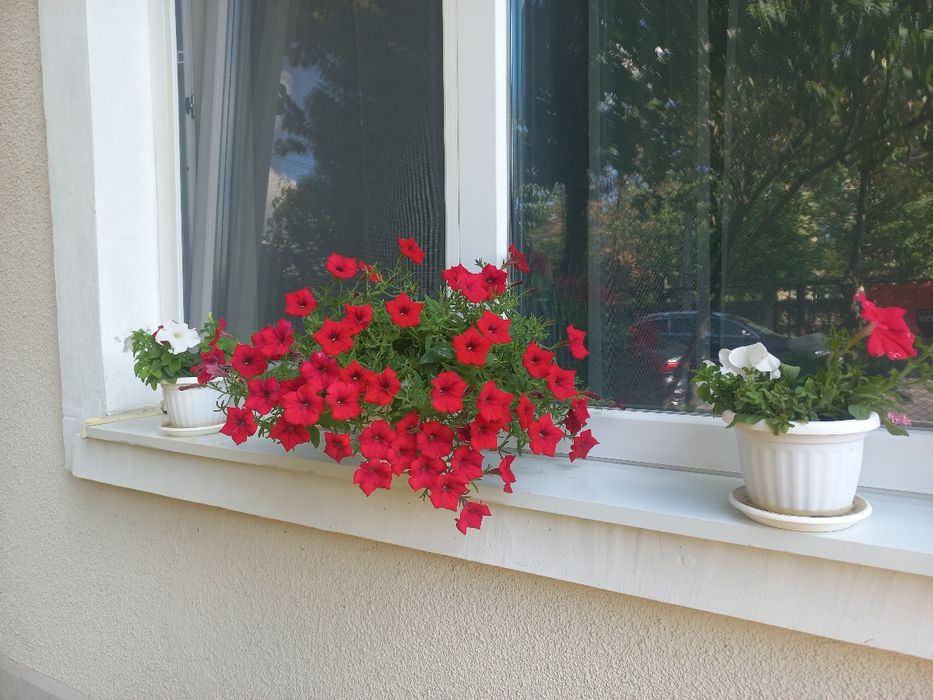 Дом по адресу ул. Загорская (площадь 110 м²) - Atlanta.ua - фото 22