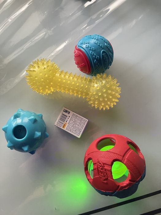 Мʼяч іграшки собака песик кістка