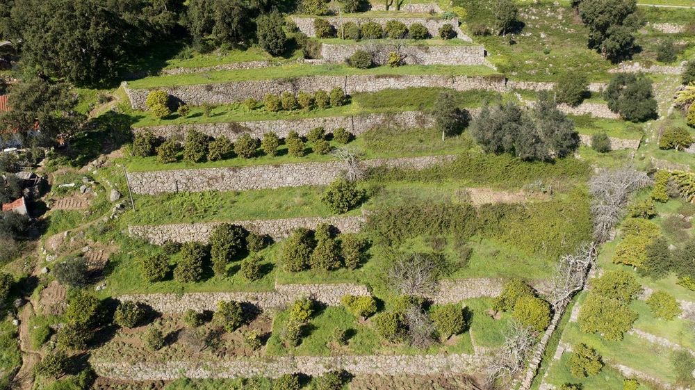 Land for sale in Monchique