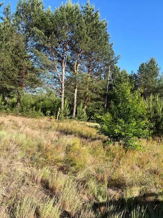 Dzialka 3129 m2 blisko Warszawy