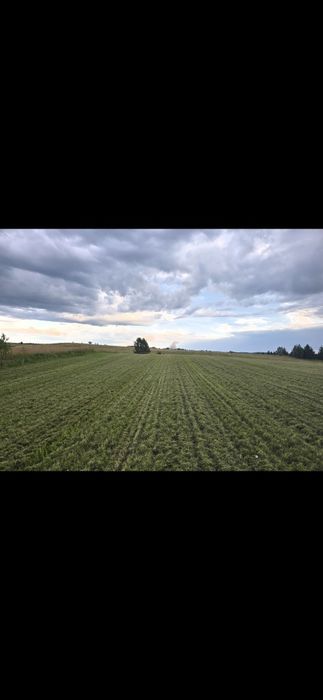 Działka Mazury 8,09  ara z warunkami zabudowy !