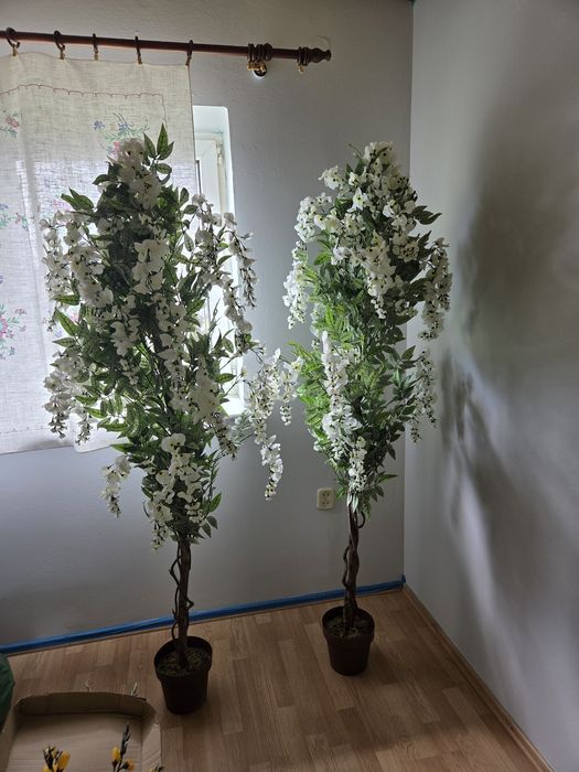 Drzewko Wisteria nowe 180 cm