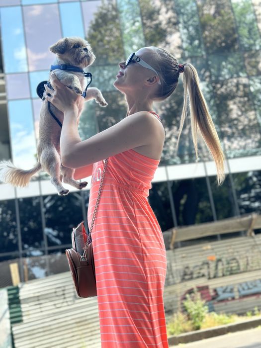 Ши-тцу вязка