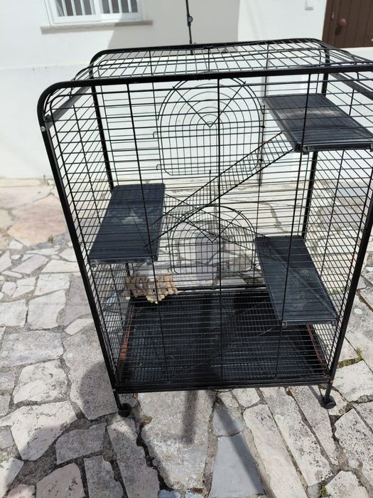 Gaiola para hamster  grande