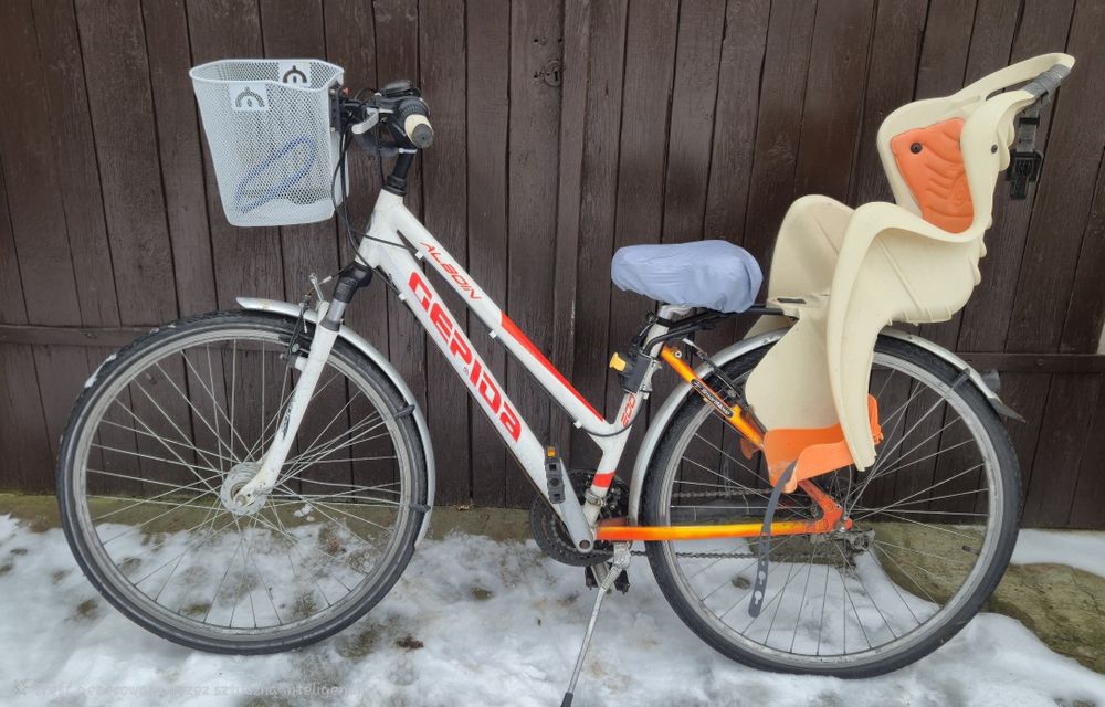 Rower Trekkingowy Gepida