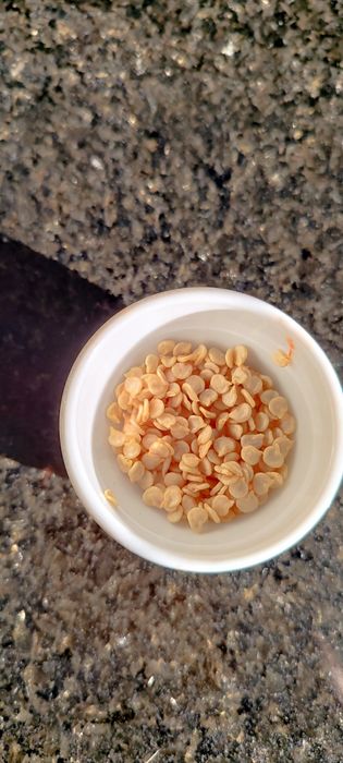 OFERTA Portes Envio , Sementes Pimentas Nucleares