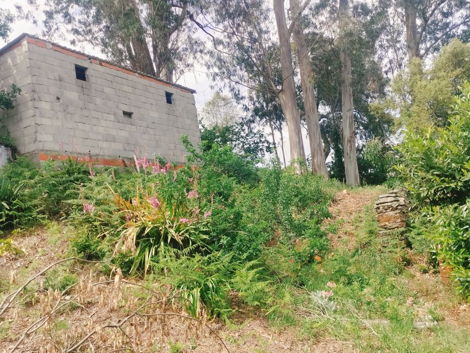 Vende-se Terreno de Cultivo com Currais para Animais – Aveleira - Penacova