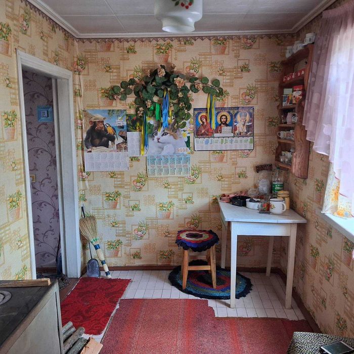 Розкіш Тиші: На Продаж Виставлено Заміський Будинок