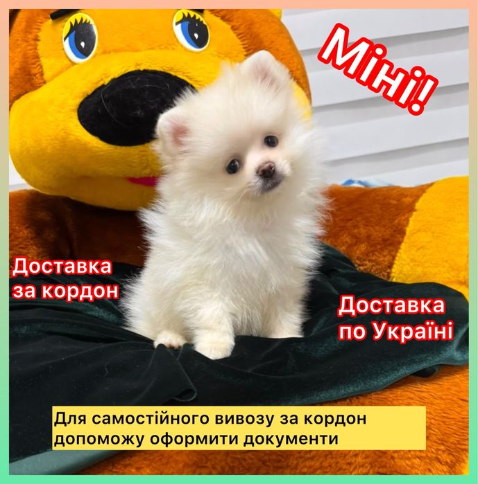 #Дуже дуже гарна ! Лялькова мікро  міні дівчинка ведмедик !