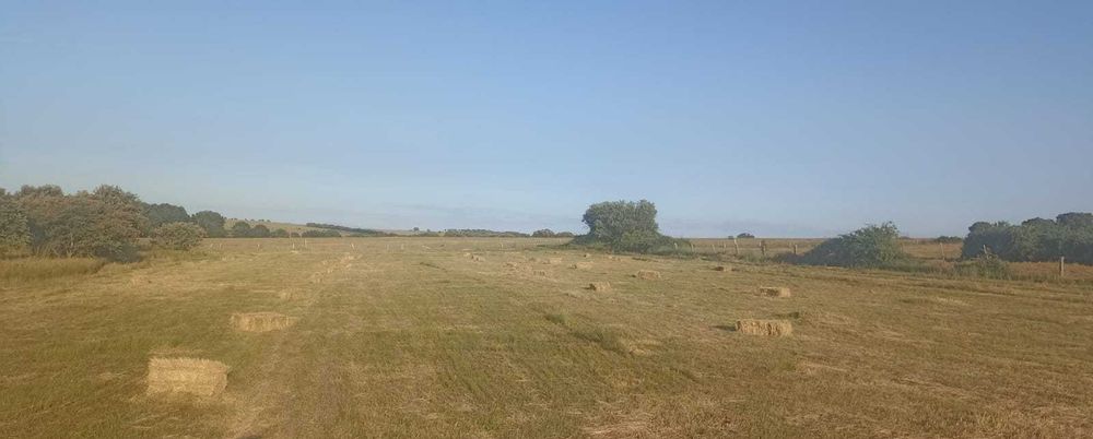 Fardos dos pequenos de feno espontâneo e Também de aveia com azevem