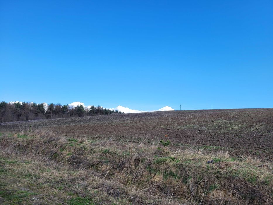 Земельна ділянка 376 сот в Колодіївці