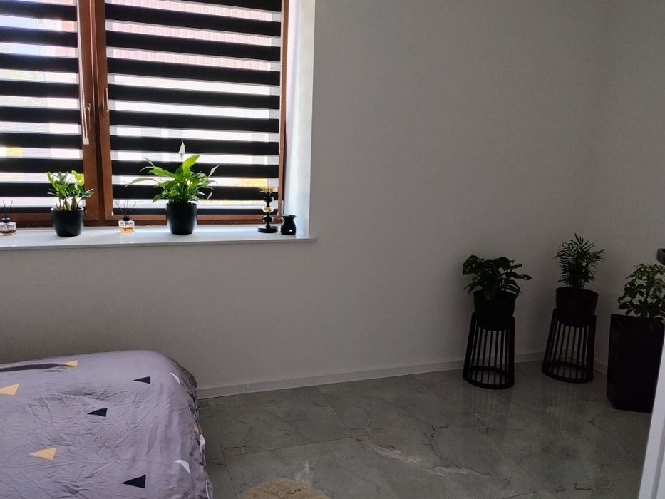 Apartament Ostrowiec świętokrzyski
