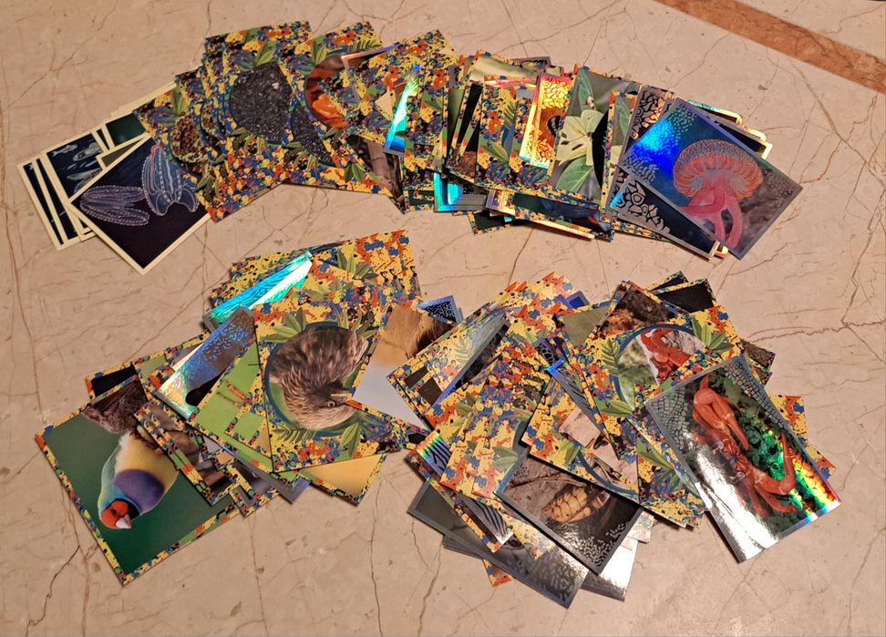 Cromos "Mundo Animal 1001 cores", Lisboa-Benfica