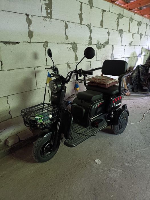 Еоектороскутер Maxter ANT