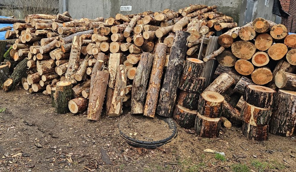 Drewno opałowe sosnowe