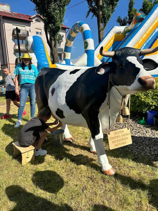 Zjeżdżalnia dmuchana, zamki dmuchane, drAnimatorzy