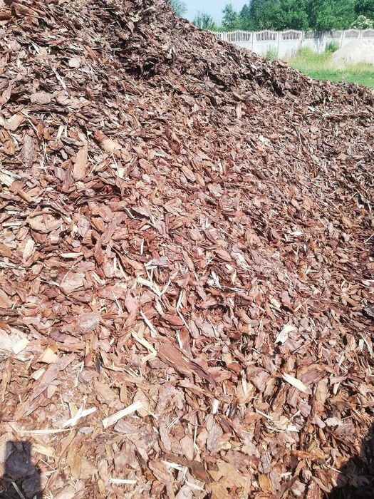 kora sosnowa  60l transport