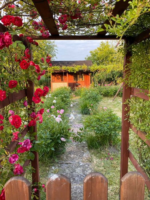 Działka ROD Kalina, Lublin, Zawilcowa