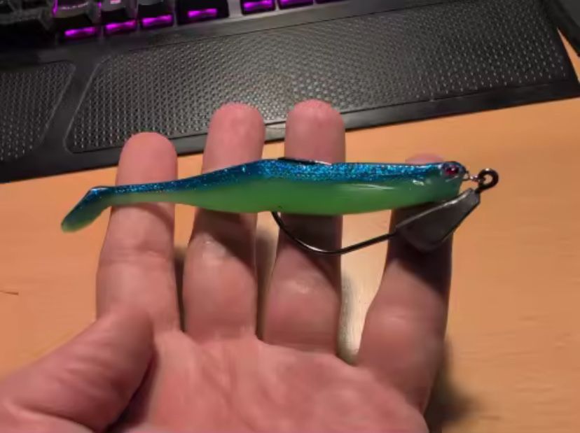 Fishing 3D  Miękka przynęta 100 mm 4 szt