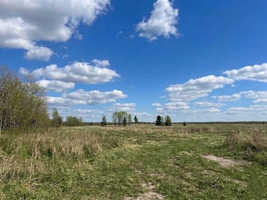Продаж земельної ділянки 25 соток - ОСГ. Зручний заїзд. Біля лісосмуги. ID:607