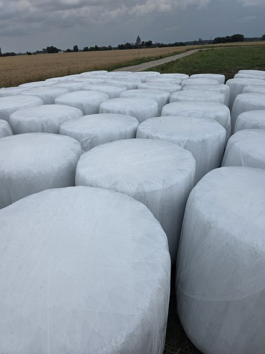 Sianokiszonka z lucerny