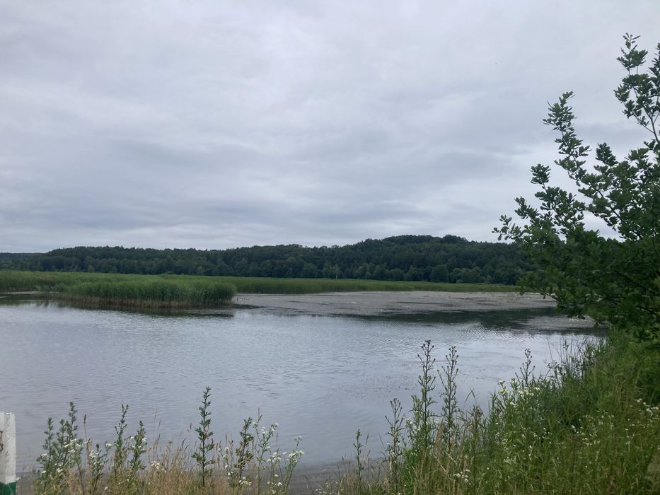 Продаж земельної ділянки  біля озера  с. Лелехівка