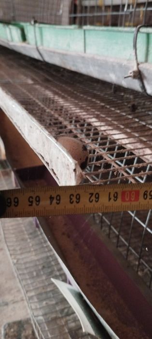 Продам клітки для перепелів