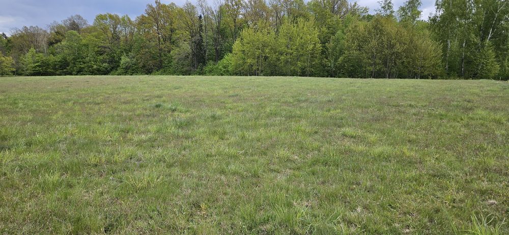 Sprzedam działki budowlane z WZ Bartoszyce - Lidzbark Warm. 4500 zł/ar