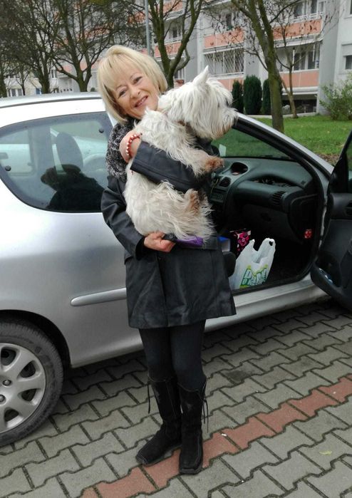 Opieka nad psem w domku z ogrodem - hotel dla psa Poznań