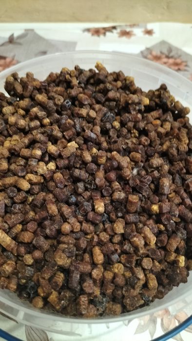 Перга бджолина з рамок