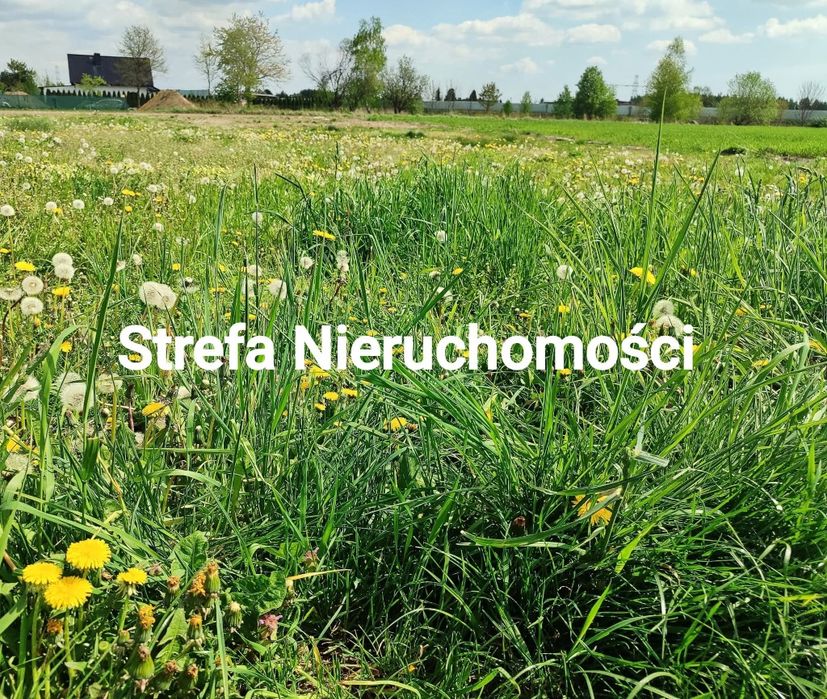 * Duża Działka 3545m2  Gaszowice Rybnik