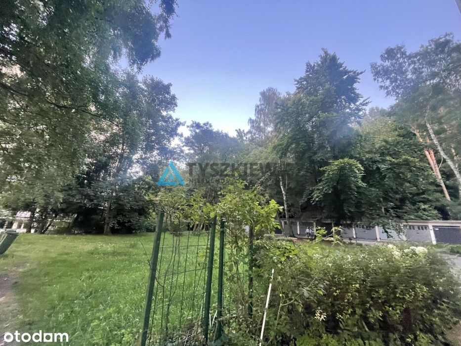 Zdjęcie 6