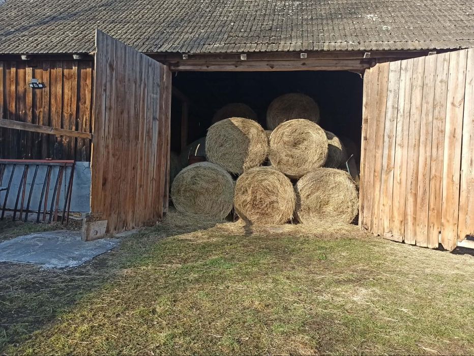 Sloma w belach 120x120 żytnia i owsiana