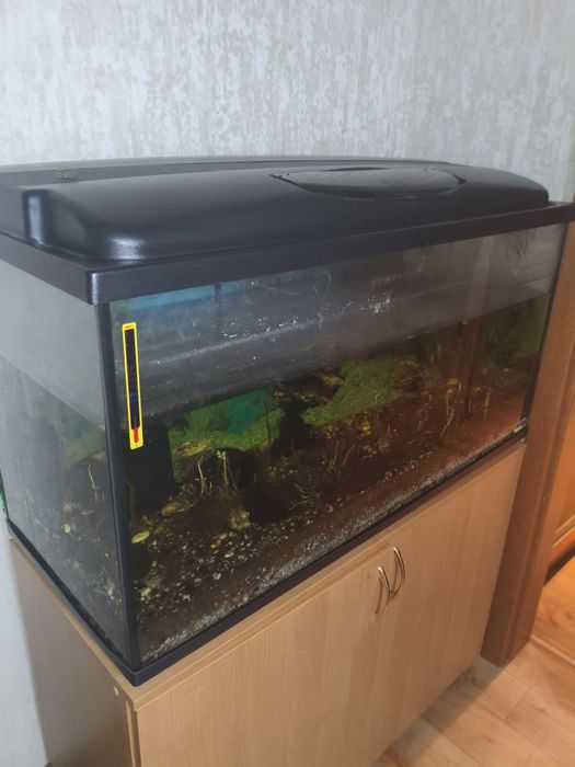 Продам акваріум.