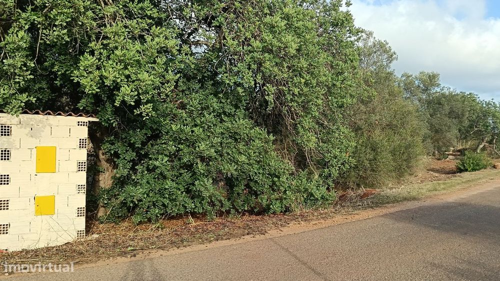 Terreno rustico com luz no Areeiro-Alte
