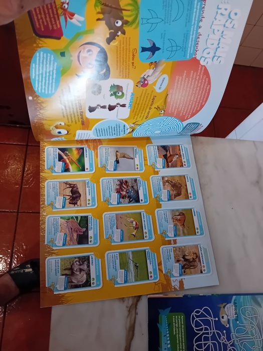 Conjunto de 2 Cadernetas Pingo Doce