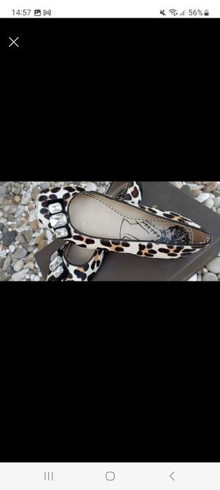 Sabrinas Leopardo Tanara