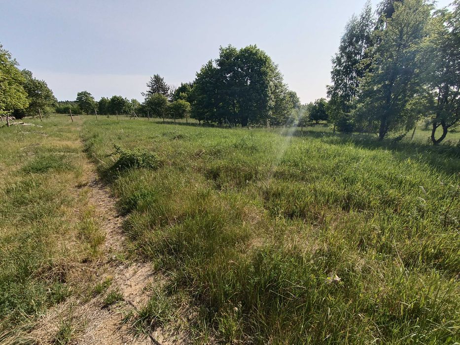 Działka Budowlana - Widok 2