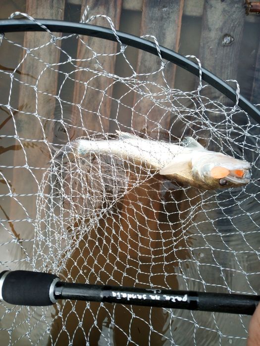 Spinning sandaczówka