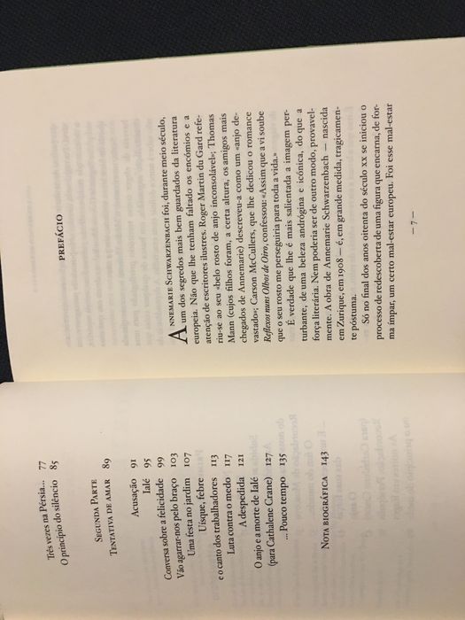 Stig Dagerman/A.  Schwarzenbach/ E. Junger/ G. Sebald /G. Grass