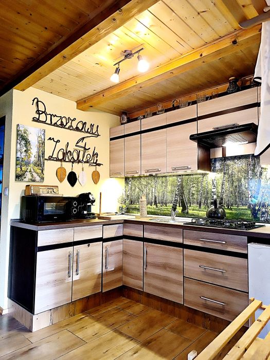 Domek z kominkiem,jacuzzi,sauna,jezioro