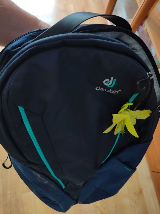 Plecak damski Deuter XV2 SL