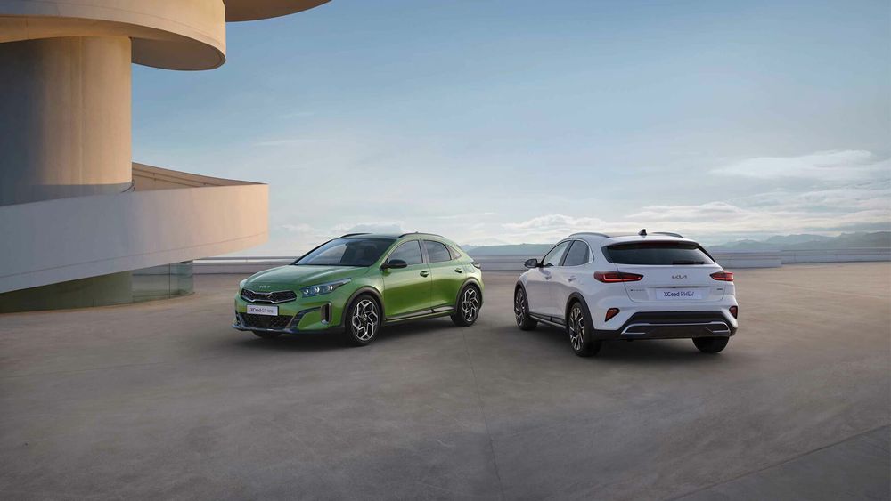 Zdjęcie w galerii numer 7