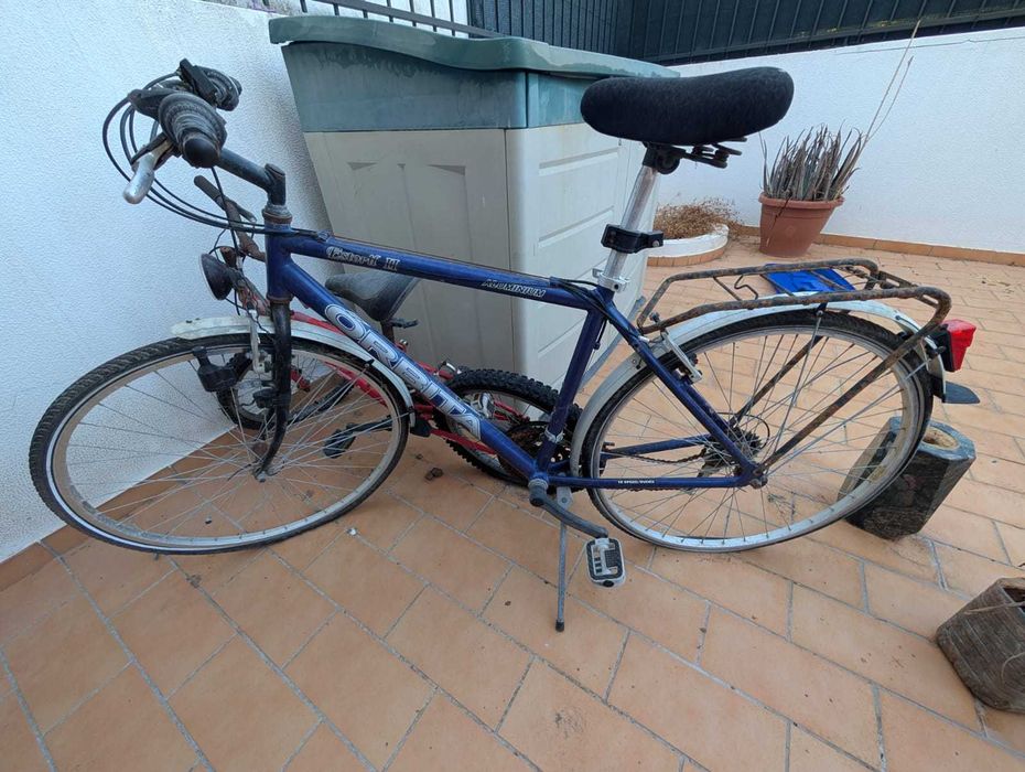 Bicicleta orbita II